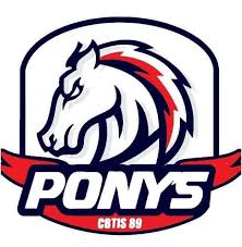 WhatsApp Image 2025-12-11 at 2.24.21 PM.jpeg