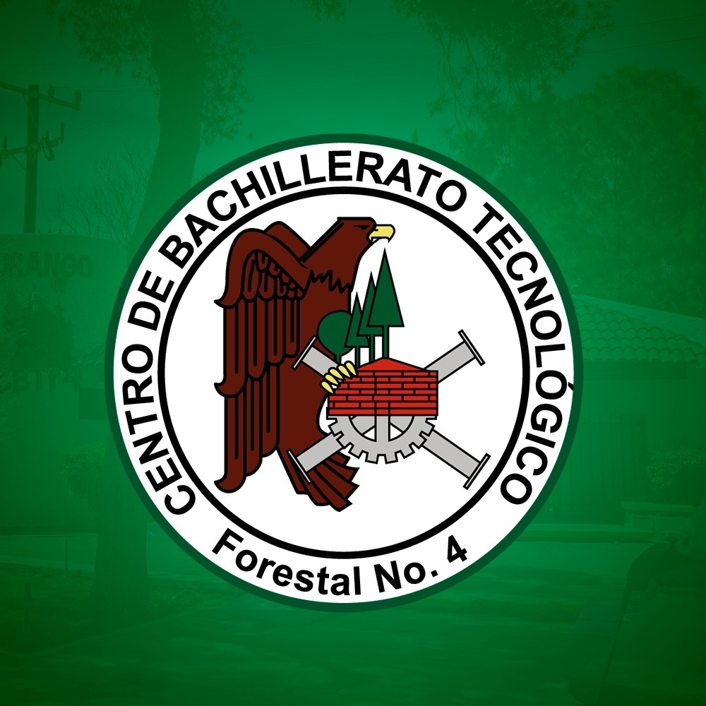 WhatsApp Image 2025-12-11 at 2.24.22 PM.jpeg